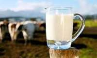 برگزاری کارگاه بهداشت شیر جهت دانشجویان بهداشت عمومی ورودی  91