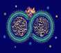 به مناسبت فرارسیدن میلاد سرور کائنات (ص) و امام جعفر صادق (ع) توسط
